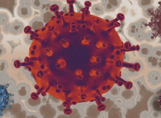 H1N1 Virüsü Nedir? Nasıl Bulaşır?