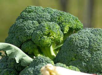 Yavuz Yörükoğlu Anlattı, Sebzelerin Kralı Brokoli