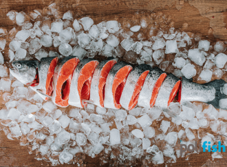 Dondurulmuş Balık Alırken Nelere Dikkat Etmeliyiz ?