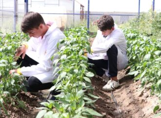 Sürdürülebilir Tarım Eğitimi: Liselerde Yeni Ders