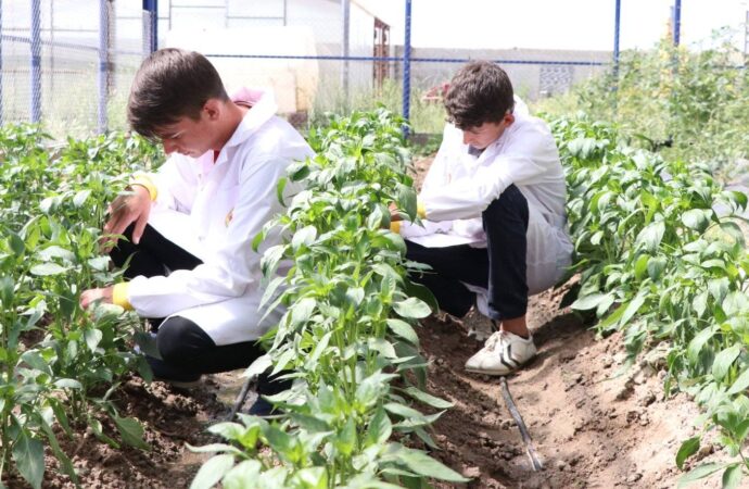 Sürdürülebilir Tarım Eğitimi: Liselerde Yeni Ders
